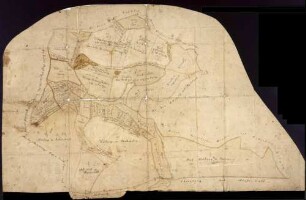 Geometrische Mappa über das hochadelige Stift Kloster Wald