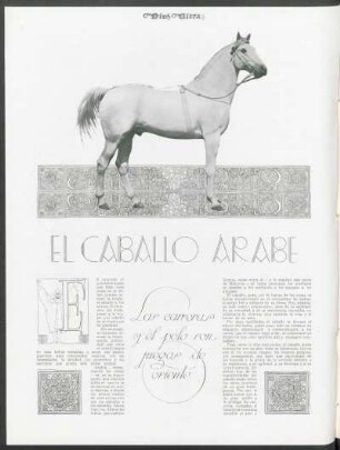 El caballo árabe - Las carreras y el polo son juegas de oriente