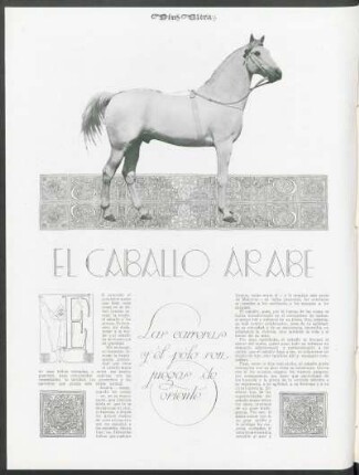 El caballo árabe - Las carreras y el polo son juegas de oriente