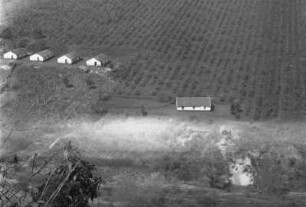 Blick auf eine Kaffeeplantage : Eine Fazenda mit einer Kaffeepflanzung und Gebäuden.