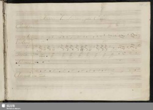 Cavatina: Va crescendo il mio tormento