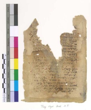 Ps. LXXXVIII, 42 - 49