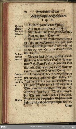 Hitzige gifftige Geschwer. Cap. 28.