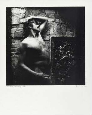 Siegfried, Hamburg 1981