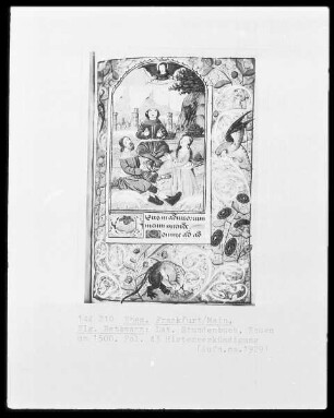 Lateinisches Stundenbuch: Hirtenverkündigung, Folio 43