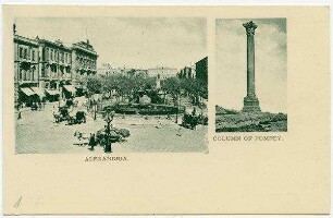 Alexandria. Column of Pompey.