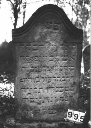 Grabstein 995 (Index: 99899557) Material: Sandstein Zustand: stark verwittert Maße HxBxT: 107x59x10 cm Beschreibung: Stele mit Konvexbogenabschluss: Grabstein 995