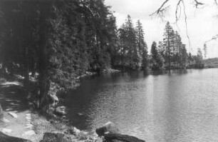 Schwarzwald. Mummelsee (1032 m) südlich der Hornisgrinde