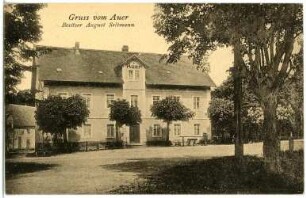 Moritzburg. Auer