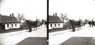 Seifhennersdorf. Pferdemusterung auf der Leutersdorfer Strasse