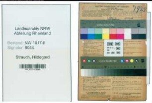 Entnazifizierung Hildegard Strauch , geb. 03.05.1920 (Buchhalterin)