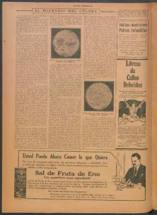 El microbio del cólera