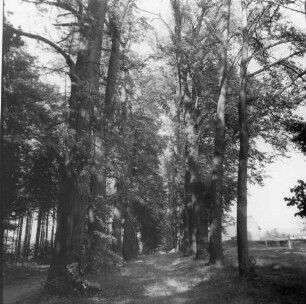 Wanderweg "Grabentour" zwischen Reinsberg und Krummenhennersdorf im Tal der Bobritzsch