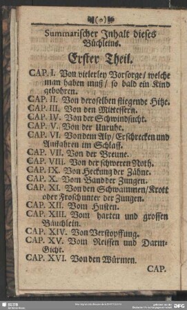 Summarischer Inhalt dieses Büchleins