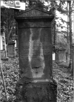Grabstein 206 (neu: 681)