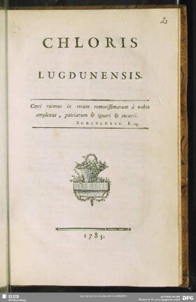 Chloris Lugdunensis