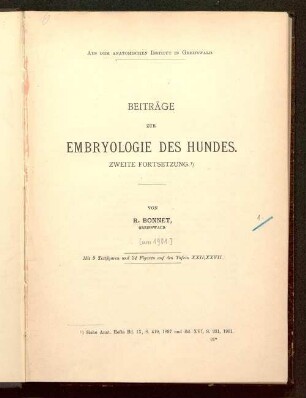 2. Fortsetzung: Beiträge zur Embryologie des Hundes : ... Fortsetzung