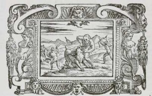 Titelbild, Libro Nono