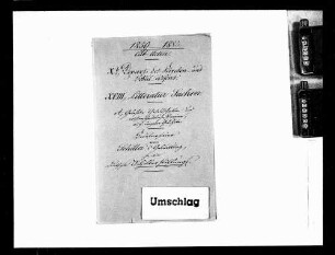 Deutsche Schillerstiftung, Säkularfeier von Schillers Geburtstag