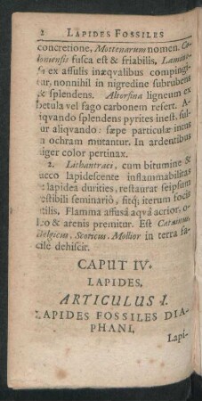 Caput IV. Lapides.