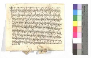 Die Heiligenpfleger zu Halheim (Halhain) verkaufen an die Heiligenpfleger zu Stödtlen (Stedlin) die der Kirche zu Halheim zugehörigen zwei Teile an den zwei Tagwerken Wiesen zu Birkenzell um 26 Gulden.