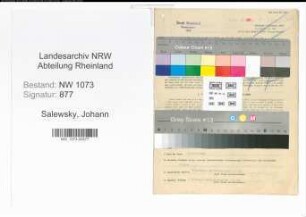 Entnazifizierung Johann Salewsky , geb. 22.05.1901 (Polizist)