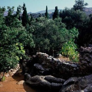 Naxos, Melanes. Kouros von Flerio, archaische Kolossalstatue, 1. Hälfte 6. Jh. v. Chr., in einem Garten. K1