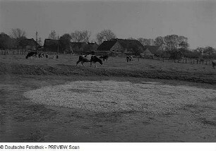 Auf der Goor