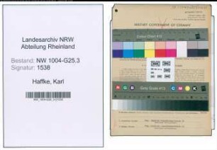 Entnazifizierung Karl Haffke , geb. 29.01.1903 (Kaufmann)