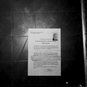 Zuchtbrief mit Bildnis des Züchters