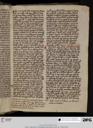 De effectibus corporis Christi