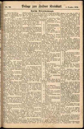 Zweite Ausgabe vom Samstag, den 04. Oktober 1879.