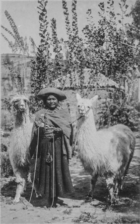 Frau mit Lamas : Portrait einer Frau mit ihren Lamas