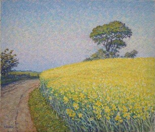 Rapsfeld