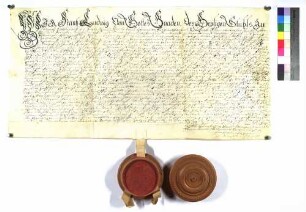 Bischof Franz Ludwig verleiht Hohenlohe Bischofsheim.