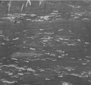 Durain und Clarain (Jeffrey) : Geologie | Kohlengeologie | Das mikroskopische Bild der Kohle (Mikroskopische Kohlenpetrographie)
