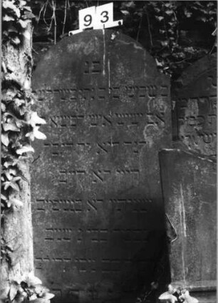 Grabstein 93 (Index: 99629594) Material: Sandstein Zustand: gut Maße HxBxT: 111x60x7 cm Beschreibung: Stele mit eingezogenem Rundbogenabschluß: Grabstein 93 (2)