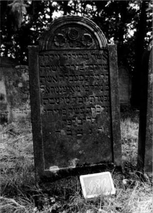 Grabstein 181 [Nir S. 136 Nr. 13.28]