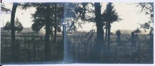 Foto eigener Stellungen mit Drahthindernis nahe der "Russenfalle" bei Plakanen östlich Riga (rechter Bildteil)