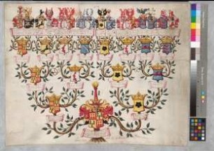 Proband: Schele, Charlotta Albertina von; Vater: Schele, Rabe Wilhelm von; Mutter: Schwartzen, Amalia von: [Herford, Stift St. Marien]