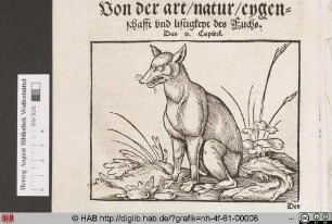 [Fuchs]