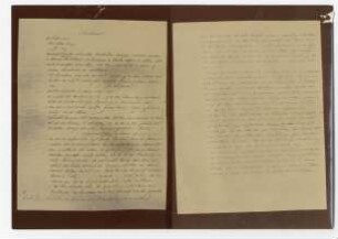 Fotografie des Testament von J. H. Insinger (?) (beide Seite), mit Anmerkungen