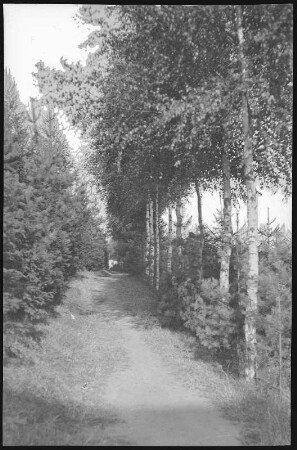 Stolpen. Schlosspark
