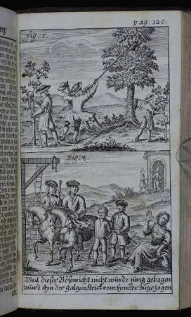 Fig. 7. - Fig. 8 , pag. 120.
