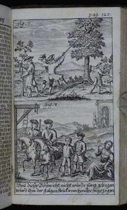 Fig. 7. - Fig. 8 , pag. 120.