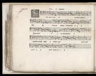 VIII. Sum tuus in uita