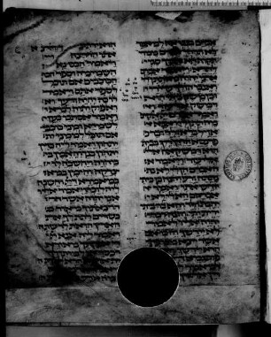 Torah, Haftarot, Megilot ve-Iyov : SUB Hamburg Cod. hebr. 25,26