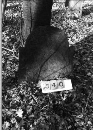 Grabstein 340