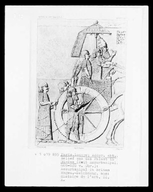 Zeichnung von einem Relief aus dem Palast von Ninive, König Assurbanipal auf seinem Wagen
