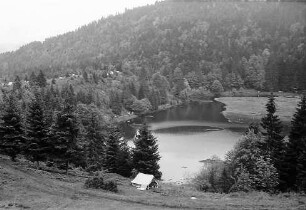 Blick von oben auf den nonnenmattweiher bei Neuenweg